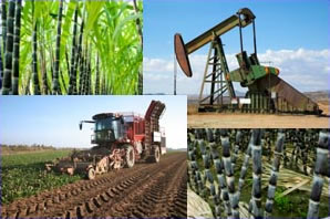 Hunter's WorldWide Group, LLC Commodities